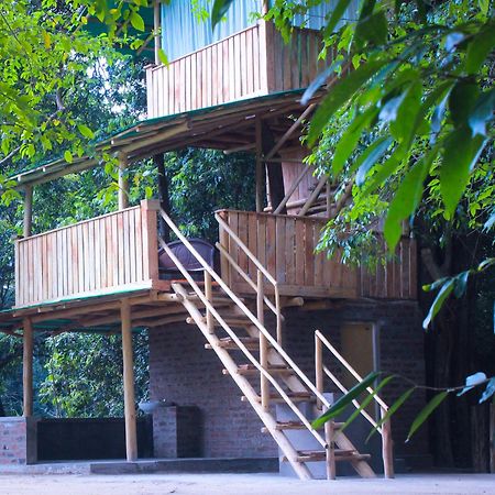 Forest Tree Top Holiday Resort Buttala Extérieur photo