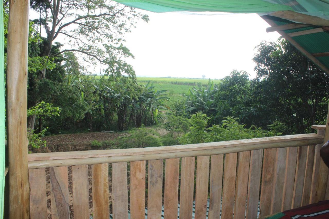 Forest Tree Top Holiday Resort Buttala Extérieur photo