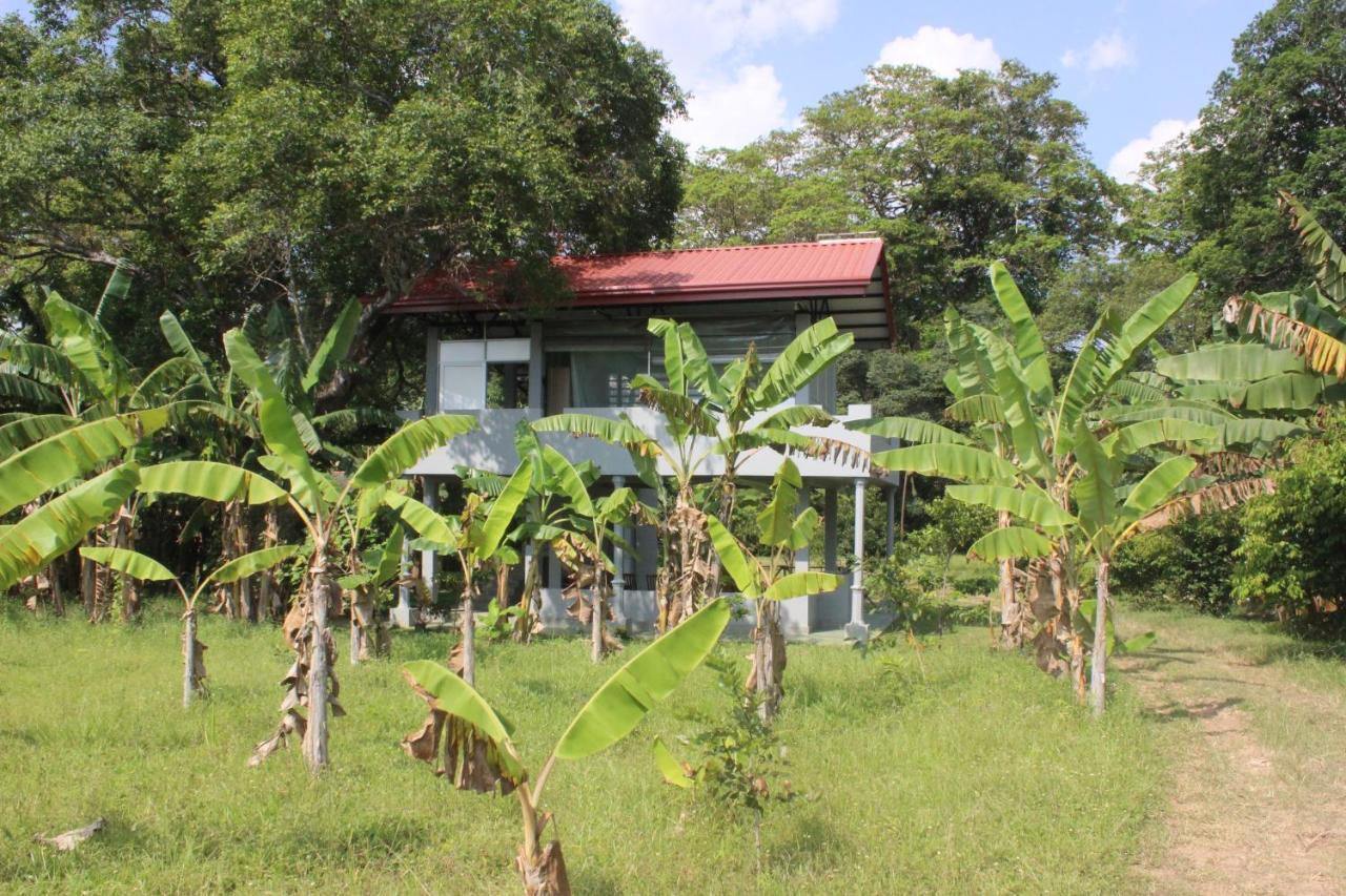 Forest Tree Top Holiday Resort Buttala Extérieur photo
