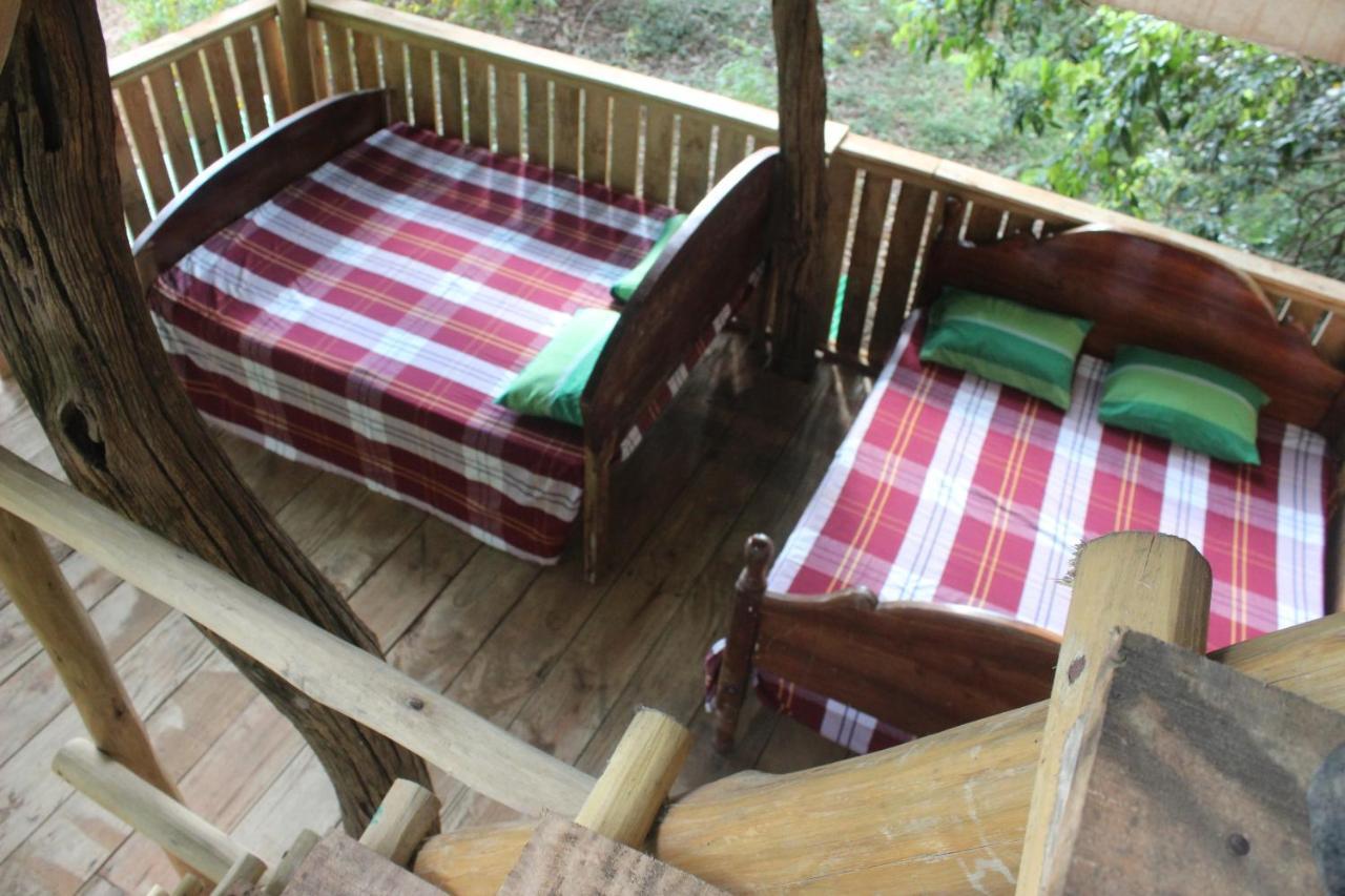 Forest Tree Top Holiday Resort Buttala Extérieur photo