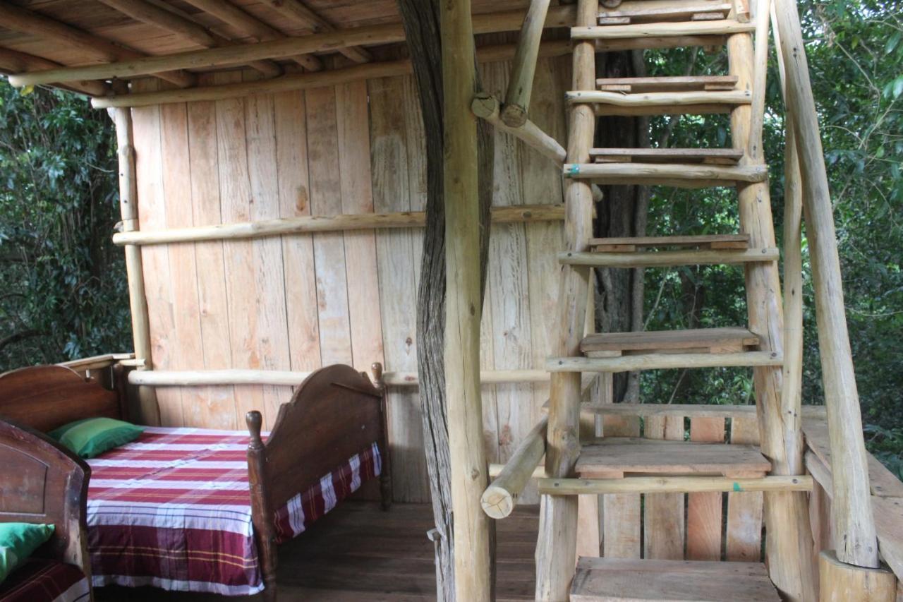 Forest Tree Top Holiday Resort Buttala Extérieur photo