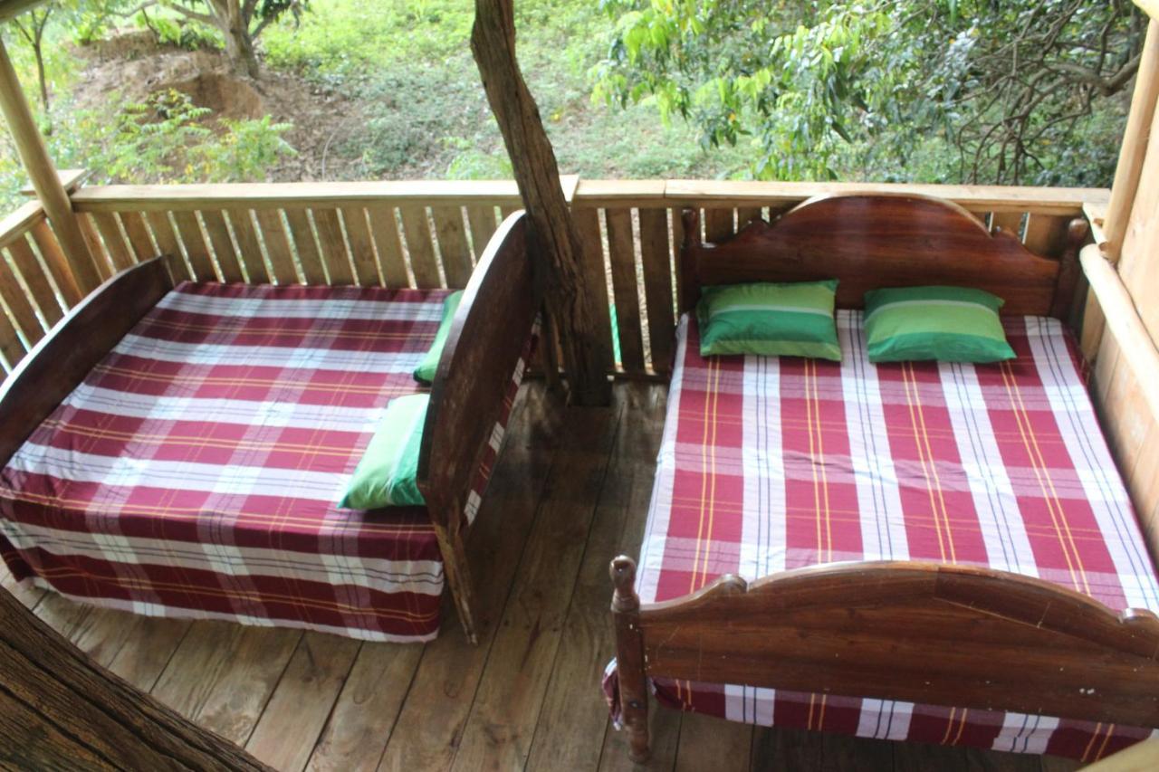 Forest Tree Top Holiday Resort Buttala Extérieur photo