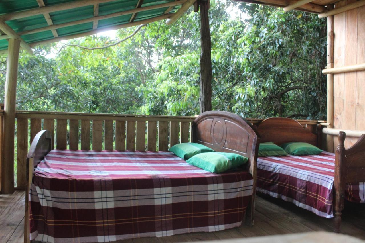Forest Tree Top Holiday Resort Buttala Extérieur photo