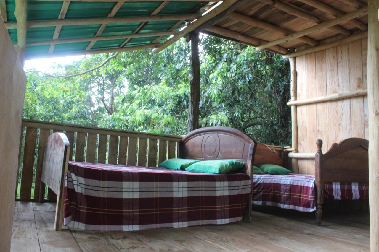 Forest Tree Top Holiday Resort Buttala Extérieur photo