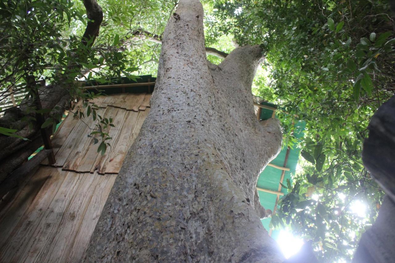 Forest Tree Top Holiday Resort Buttala Extérieur photo