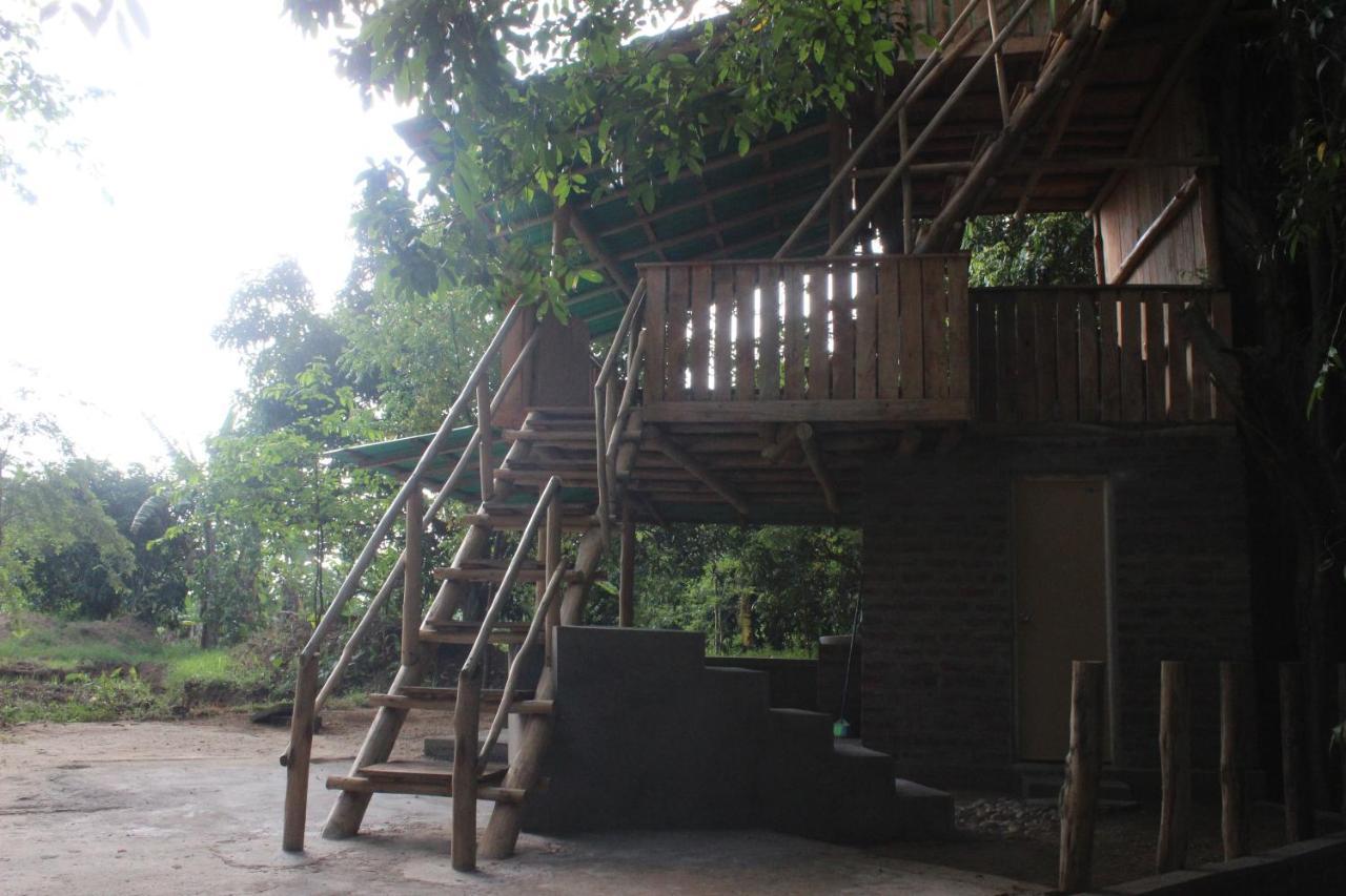 Forest Tree Top Holiday Resort Buttala Extérieur photo