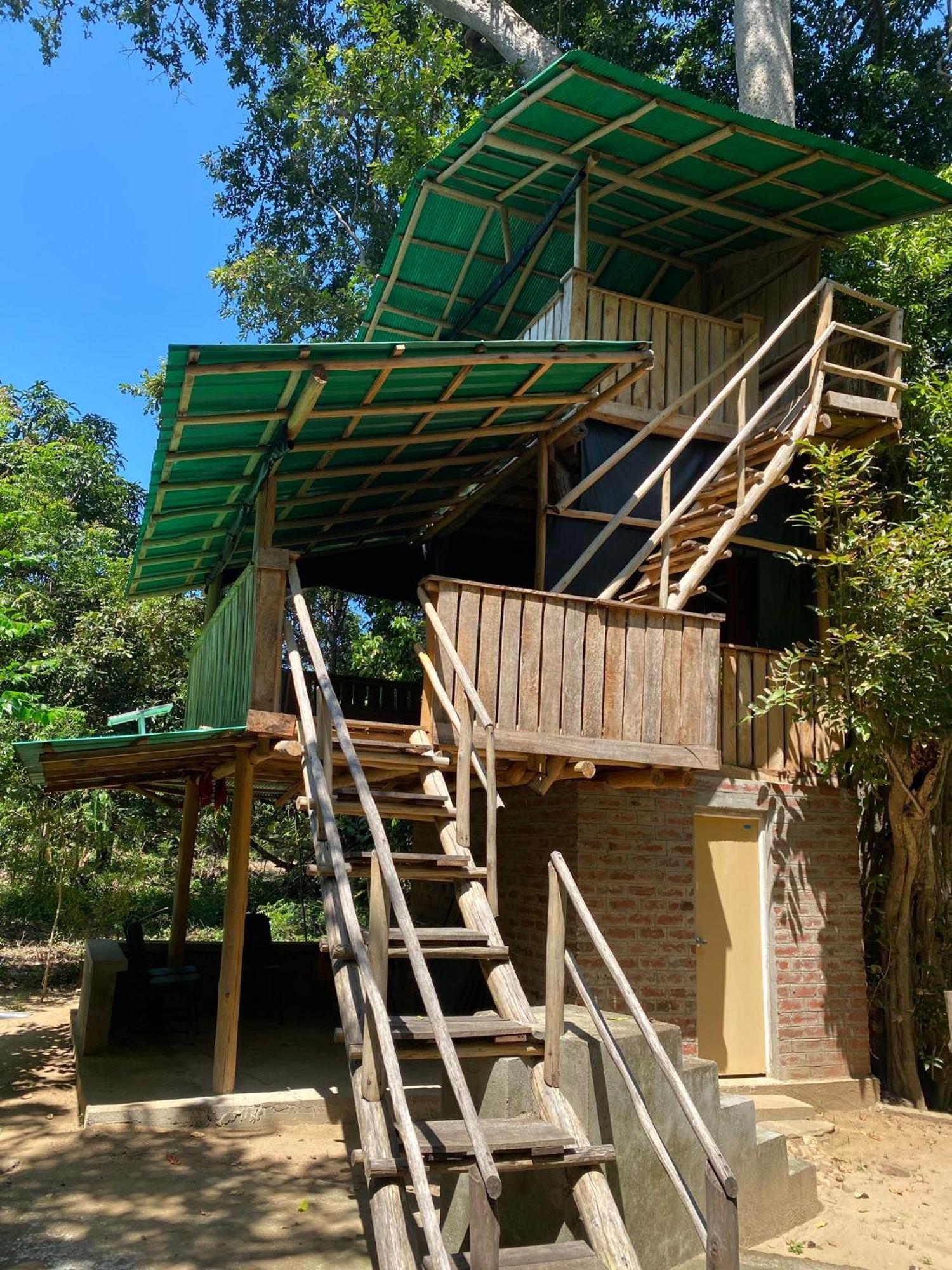 Forest Tree Top Holiday Resort Buttala Extérieur photo